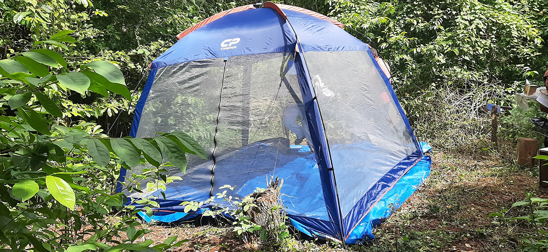 CAMPROS CP Screen House 10 x 10 Ft Screened Mesh Net Wall Canopy Tent Screen Shelter Gazebos for Patios Outdoor Camping Activities - Blue customer photo 2