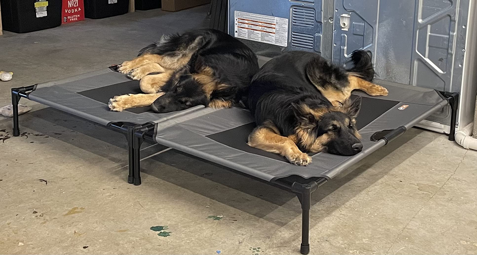 K&H Outdoor Elevated Dog Bed - Cooling Raised Dog Bed, Medium 32x25in, Tan | Pet Cot for Small & Medium Pets, Breathable Mesh 360 Hammock Design, Indoor/Outdoor Washable Cover, Portable Metal Frame customer photo 1