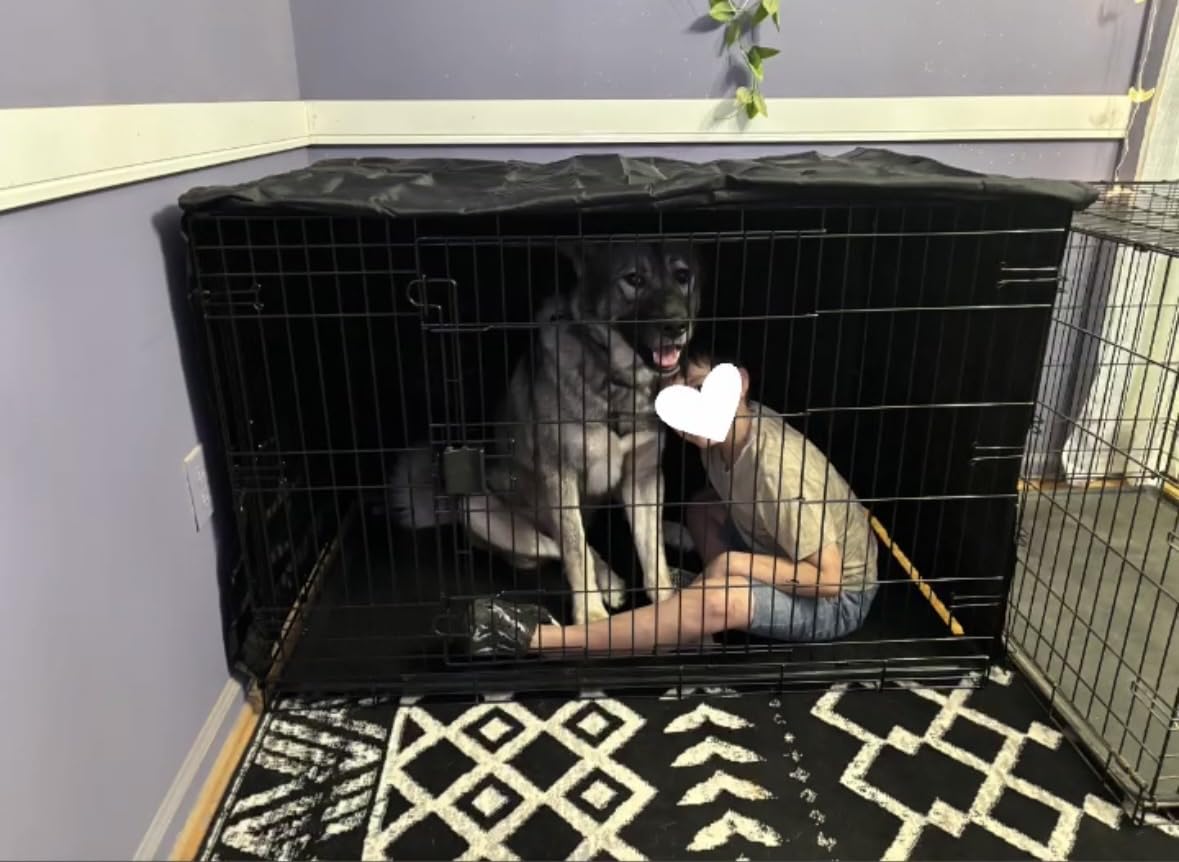 Amazon Basics Portable, Easy to Assemble, Foldable Metal Wire Dog Crate with Removable Tray, Double Door, Divider Panel, Handle, 36