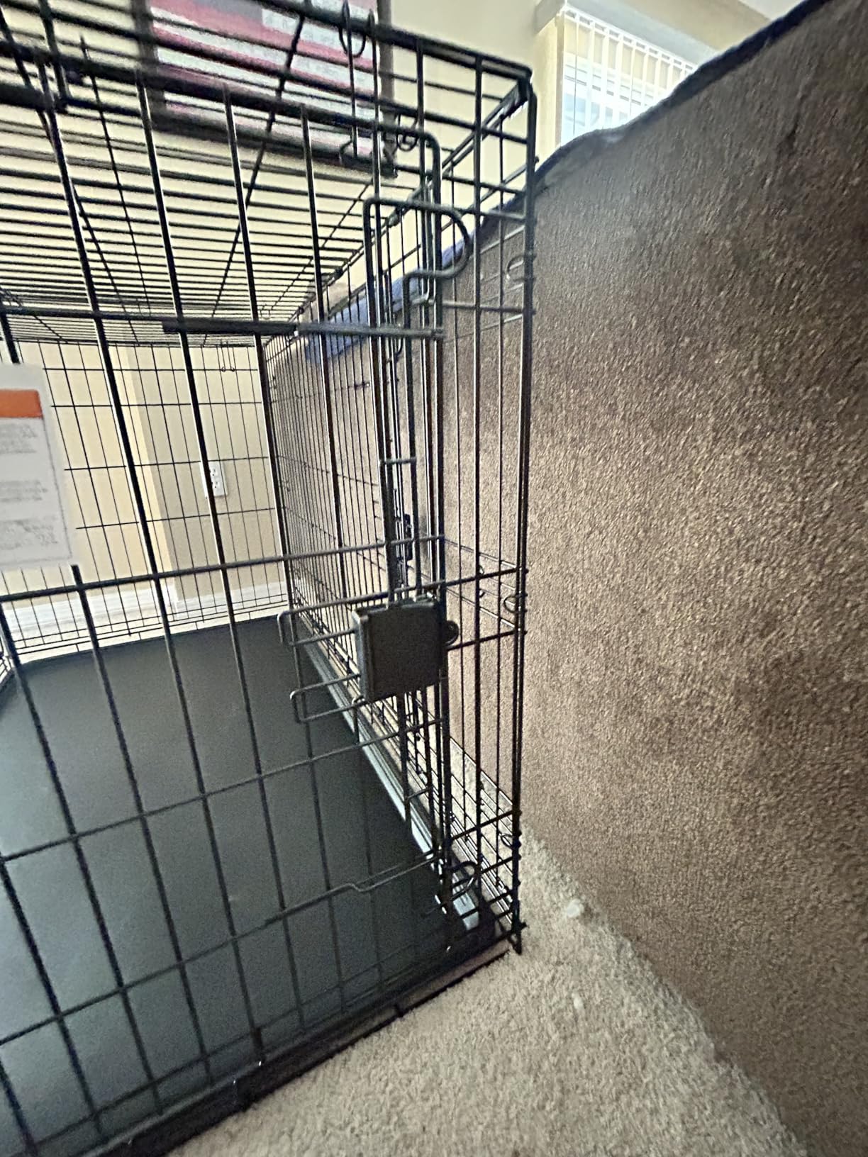 Amazon Basics Portable, Easy to Assemble, Foldable Metal Wire Dog Crate with Removable Tray, Double Door, Divider Panel, Handle, 36
