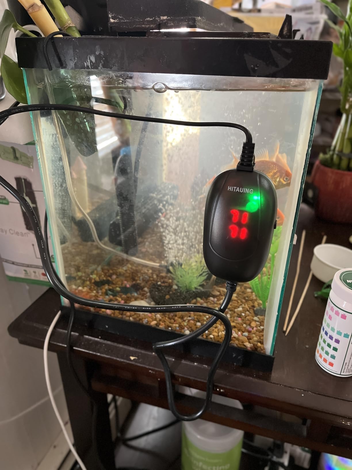 HiTauing Aquarium Heater, 50W/100W/200W/300W/500W Submersible Fish Tank Heater with Over-Temperature Protection and Automatic Power-Off When Leaving Water for Saltwater and Freshwater customer photo 2