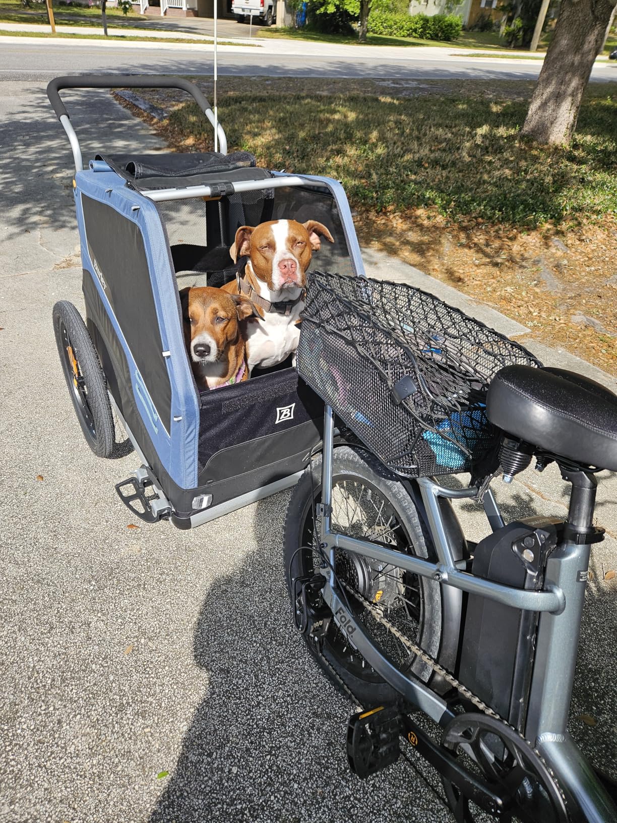 Burley Bark Ranger Pet Bike Trailer customer photo 1