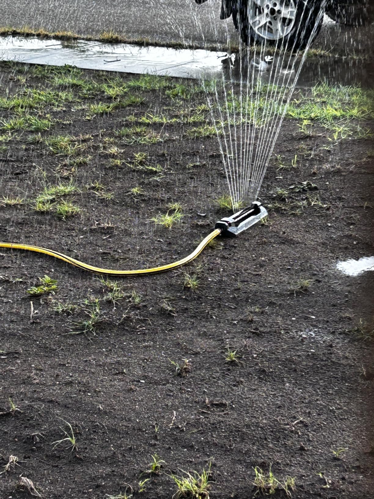 Eden 96213EDAMZ Weighted Essential Oscillating Sprinkler - Covers Up to 3,600 sq. ft., 16 Precision Nozzles, Adjustable Range, Turbo Drive Motor customer photo 2