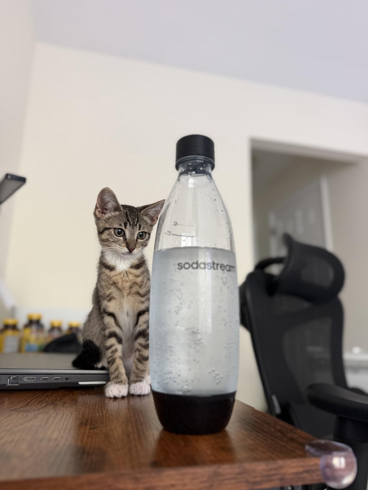 SodaStream TERRA Sparkling Water Maker, Starter Kit, CQC CO2 System, Includes 1 Quick Connect 60L CO2 Cylinder, 1 Dishwasher Safe BPA Free Bottle, 1 bubly Lime Drop, Make your own Pepsi, Black customer photo 1