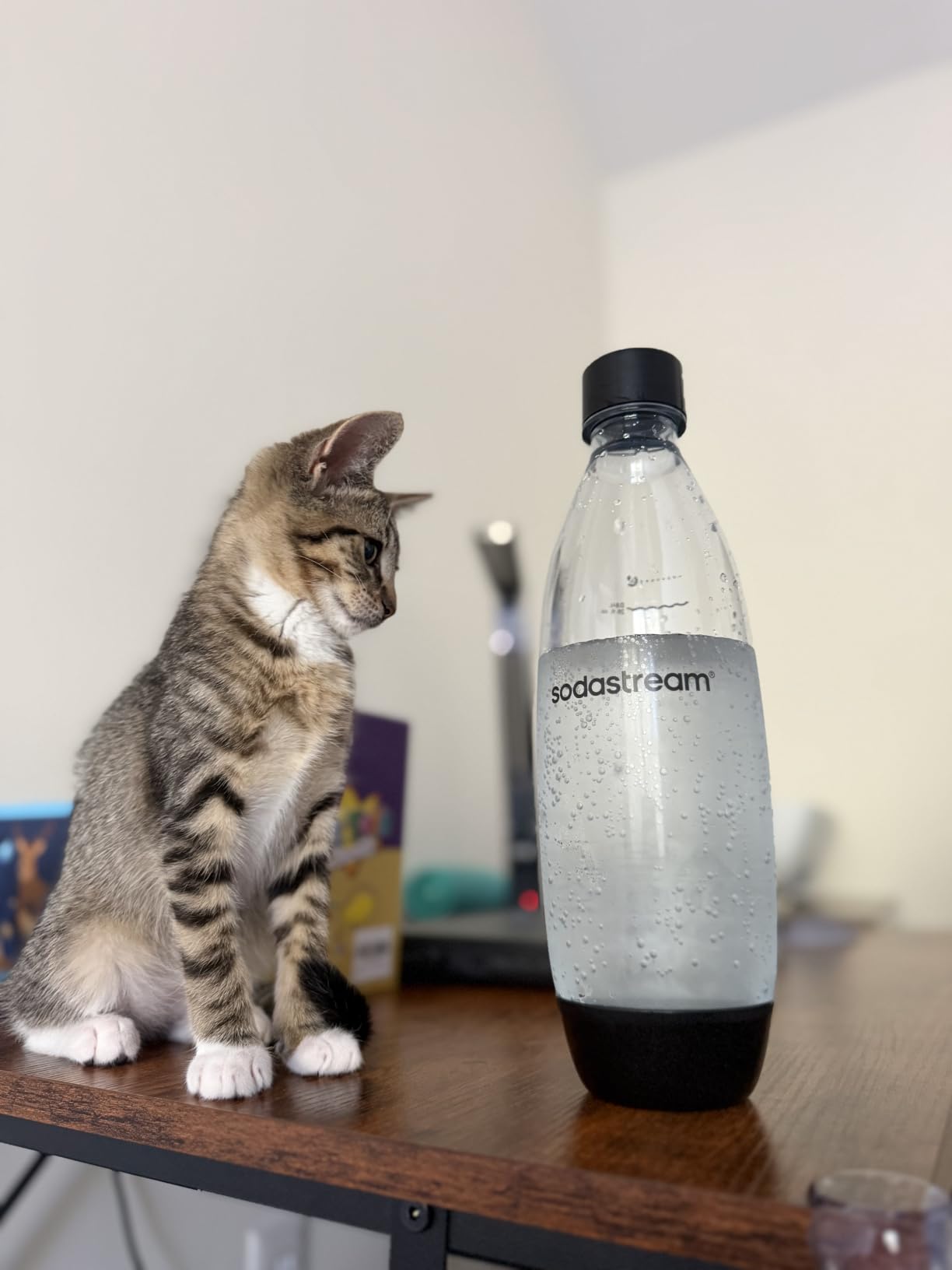 SodaStream TERRA Sparkling Water Maker, Starter Kit, CQC CO2 System, Includes 1 Quick Connect 60L CO2 Cylinder, 1 Dishwasher Safe BPA Free Bottle, 1 bubly Lime Drop, Make your own Pepsi, Black customer photo 2