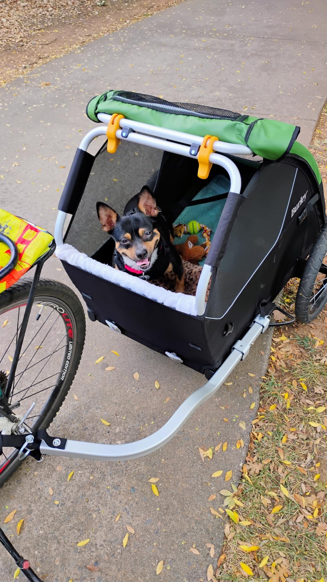 Burley Tail Wagon | Lightweight Dog Bike Trailer with Mesh Windows, Removable Floor & Low-Clearance Entry customer photo 1