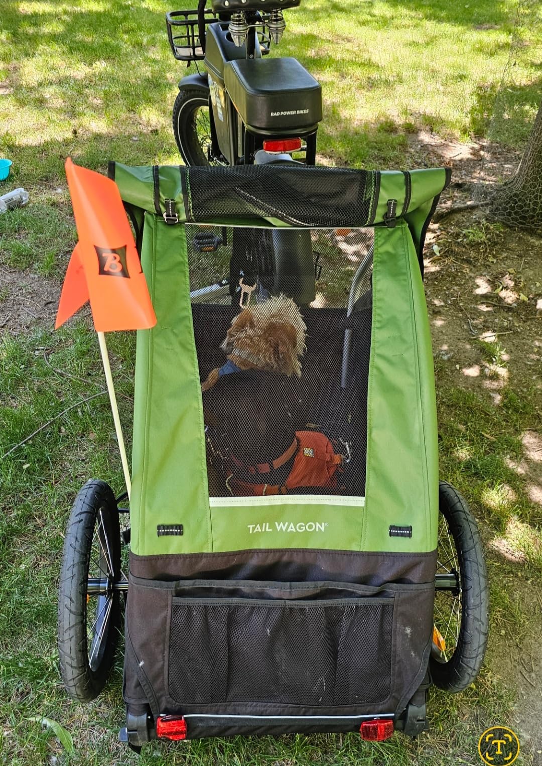 Burley Tail Wagon | Lightweight Dog Bike Trailer with Mesh Windows, Removable Floor & Low-Clearance Entry customer photo 2