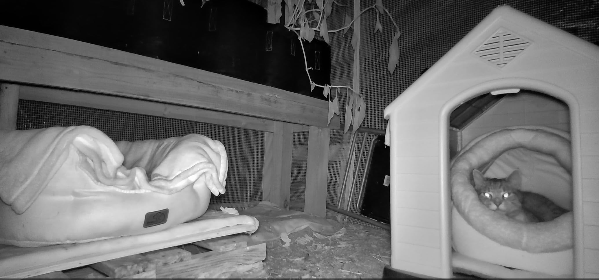 FDW Dog House, 28
