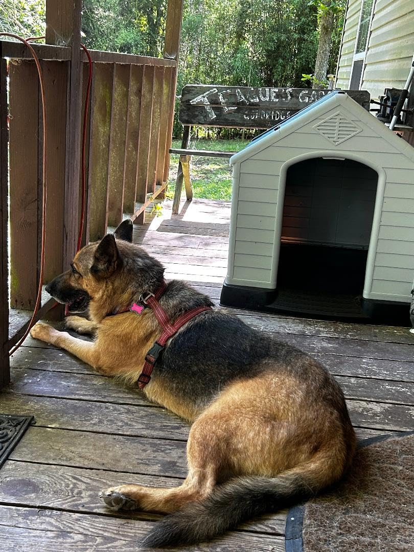 FDW Dog House, 28