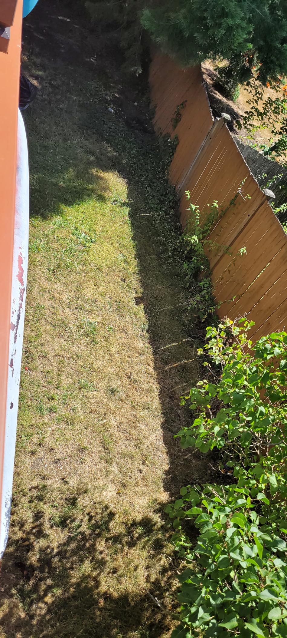 Melnor MiniMax Spike Sprinkler, 4000 Sq Ft: 360 Degree, Flow, Width, Range Adjust customer photo 1