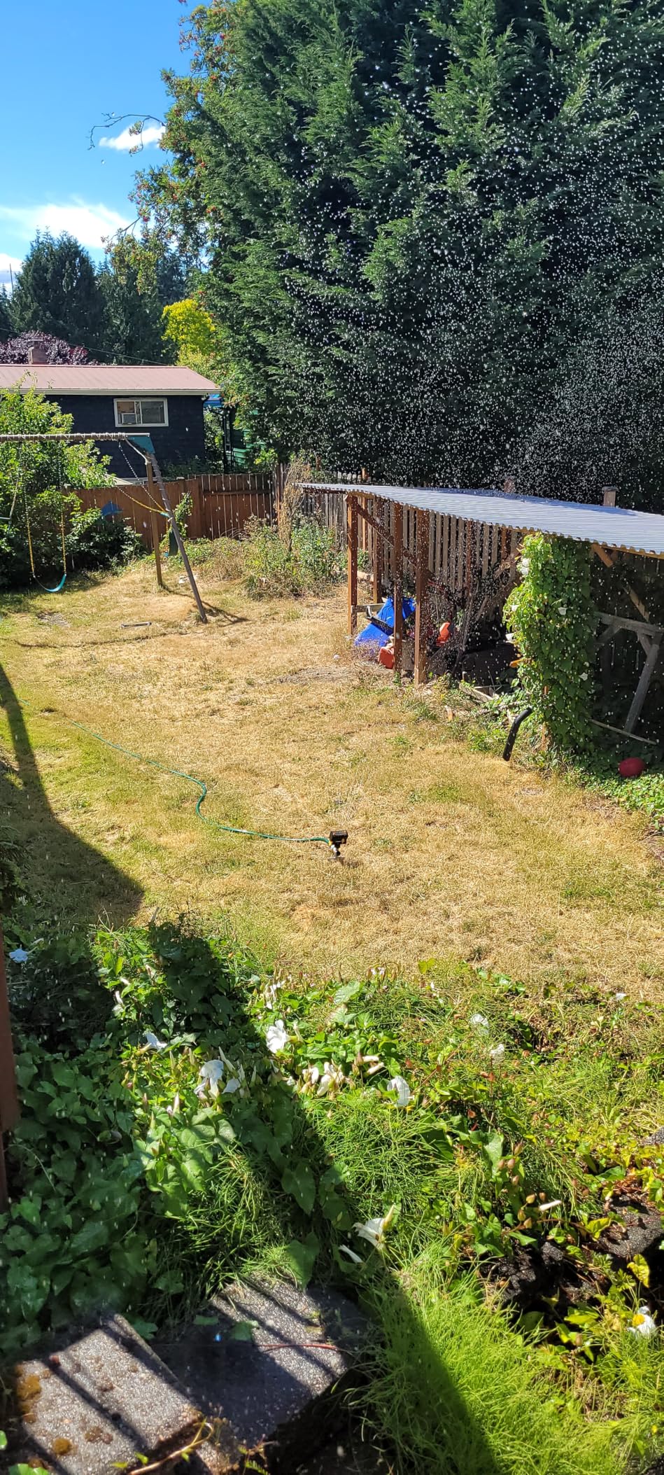 Melnor MiniMax Spike Sprinkler, 4000 Sq Ft: 360 Degree, Flow, Width, Range Adjust customer photo 2