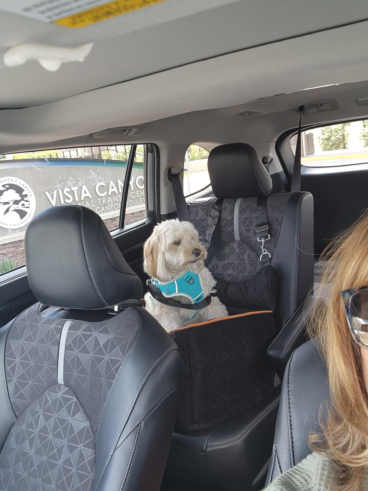 Dog Car Seat for Small Dogs & Cats Under 25 lbs, Black customer photo 2