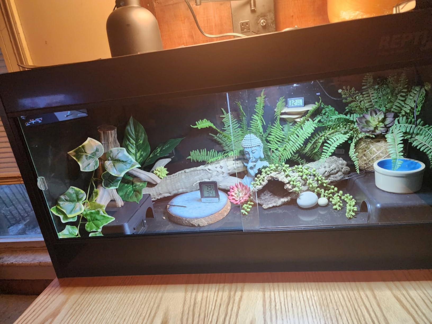 REPTI ZOO 50 Gallon PVC Reptile Enclosure, 36x18x18 inch Reptile Tank for Ball Python Bearded Dragon Snake Gecko, Reptile Terrarium Lounge Habitat with Glass Sliding Door & Top Screen Ventilation customer photo 2