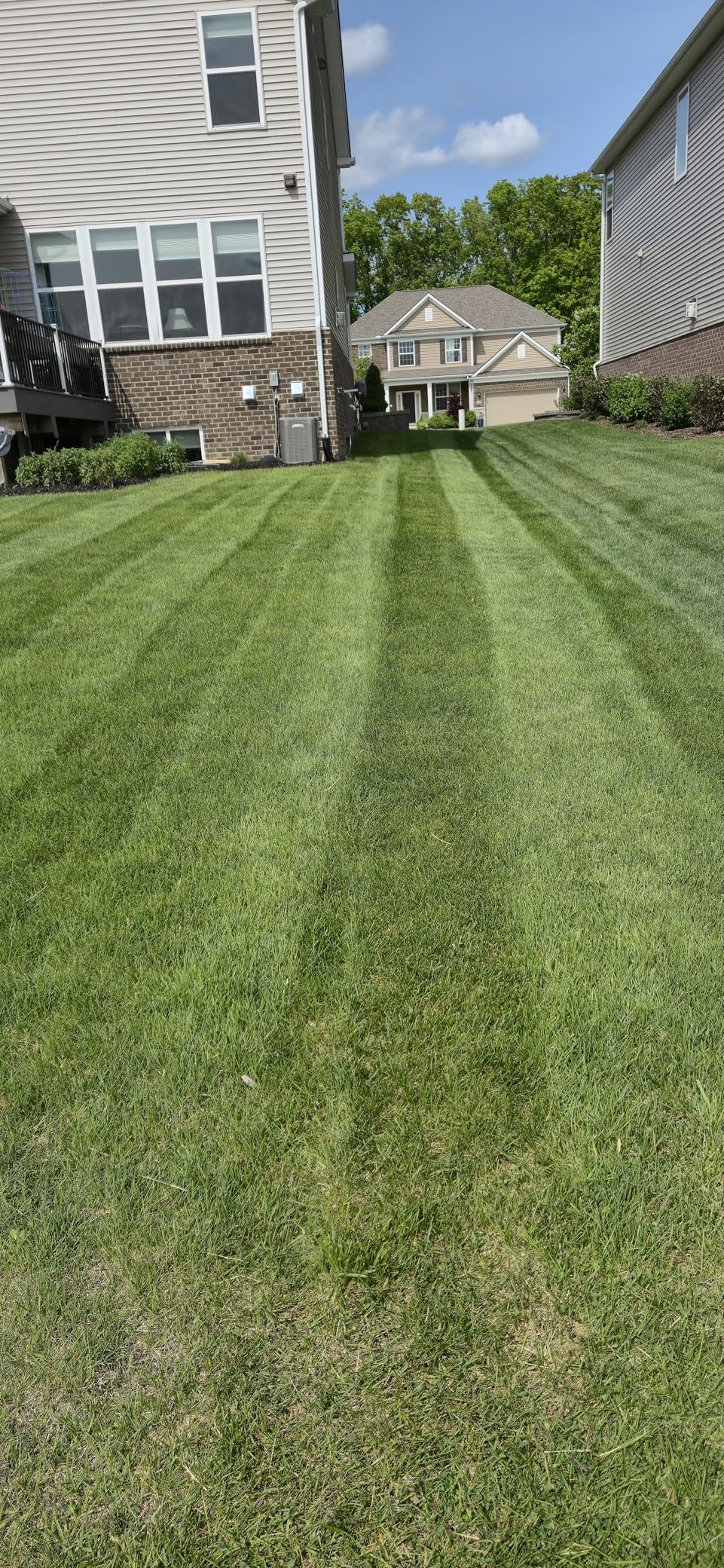 Greenworks 80V 25