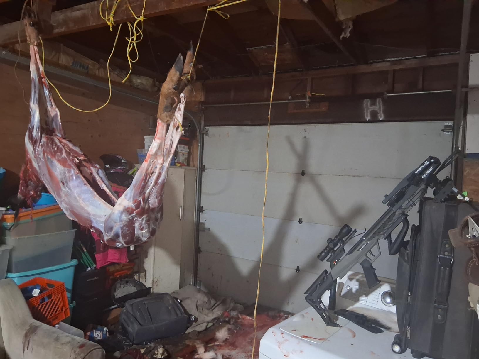 Xpedition Archery Scrapeline 390X Crossbow, 6.7LB 390 Feet Per Second Compound Crossbow Package with 4X32 Scope customer photo 2