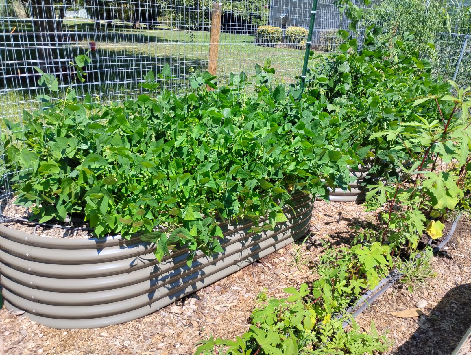 Anleolife 8x4x2ft Oval Deep Root Galvanized Raised Garden Bed, Quartz Grey | 478-Gallon Capacity, 24in Soil Depth, Interior Bracing and Broad Crop-Row Space for Tomatoes, Peppers and Seasonal Rotation customer photo 2