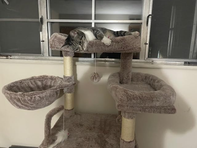 Cat Tree, 63'' Cat Tower for Large Cats, Big Hammock GCT020G | Cat Condo, Cat Scratching Posts for Indoor Adult Cats, 4 Platforms (2 Big 2 Small), 2 Baskets, Sisal Rope, 4 Toys, Smoky Gray customer photo 2