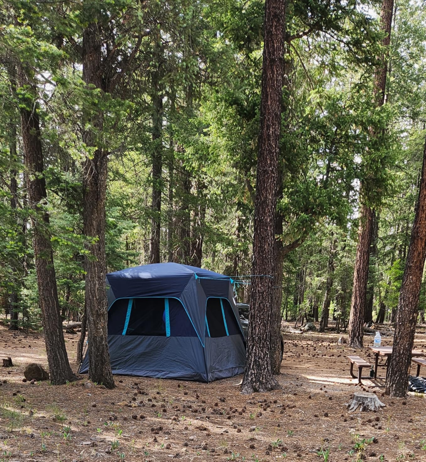 TIMBER RIDGE 5-9 Person SUV Tent with Screen Porch and Awning for Family Camping, Weather Resistant and Portable Van or Car Tent, Includes Rainfly and Storage Bag, 13' W X 10' L X 7.1' H customer photo 2