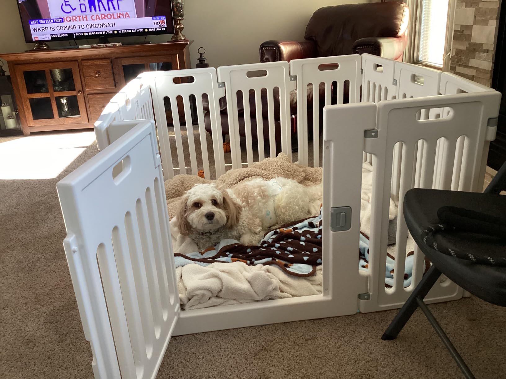 BIRDROCK HOME Pet Playpen with Door | 12 Panel | Strong Plastic | Puppy Safety Fence Pen Playpen | Non-Slip and Secure Dog Gate | White customer photo 1