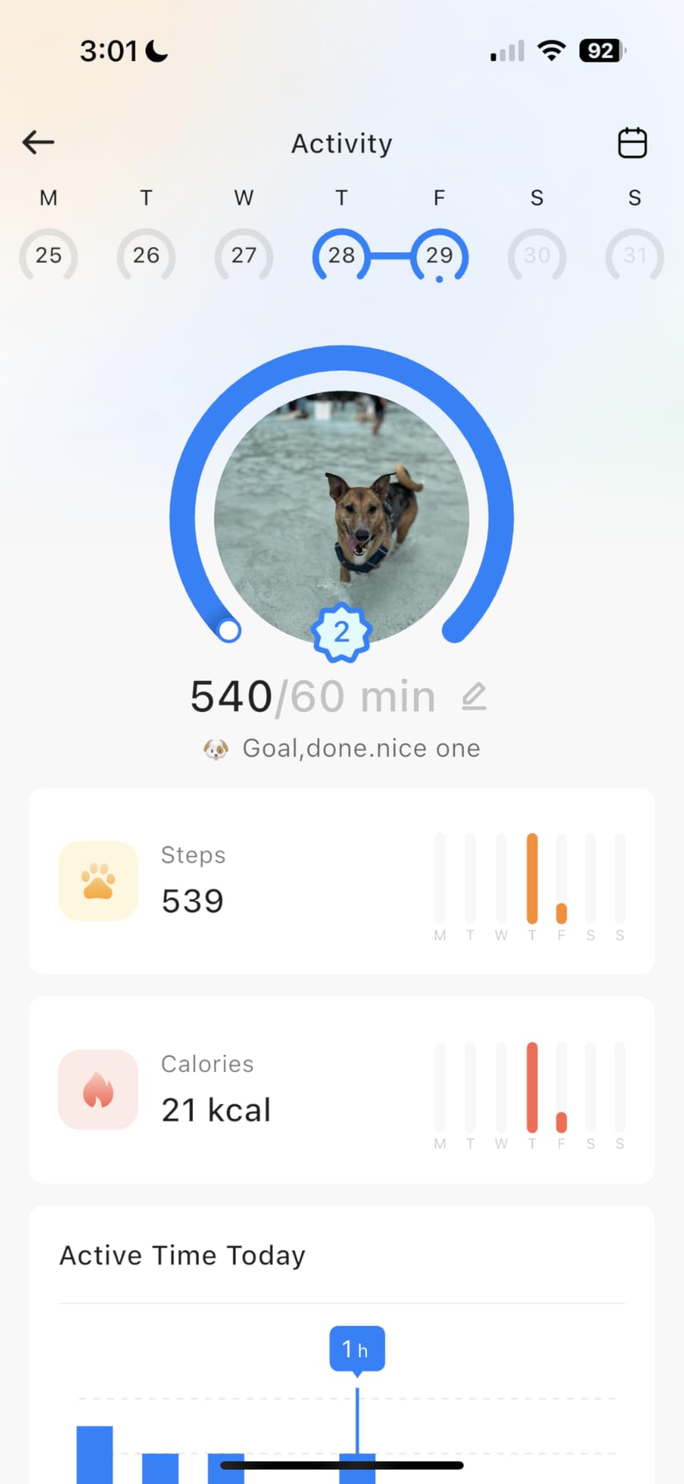 Dog GPS Tracker, AI Tracker Collar with Virtual Fence & Health Monitoring - Real Time Location Tracker for Escape Artists, Electronic Fence Collar for Medium to Large Dogs, iOS and Android customer photo 1