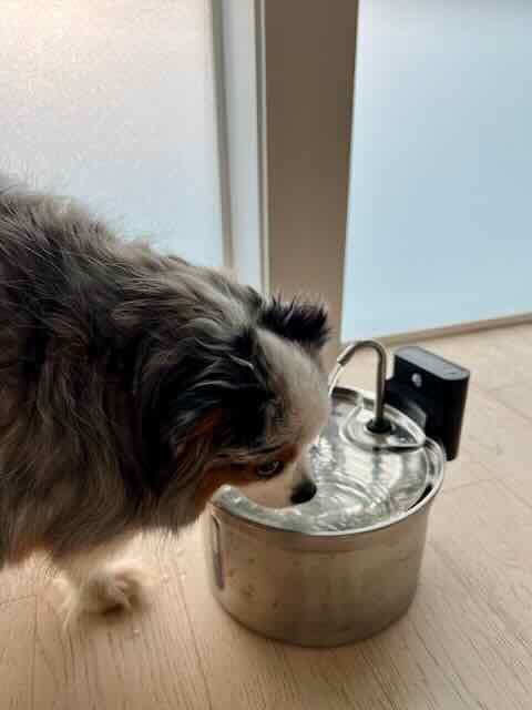 Wireless Cat Water Fountain [Water & Battery Separation] FEELNEEDY Stainless Steel Automatic Pet Water Dispenser, 4000mAh Battery Operated Water Fountains for Cats Dogs - 3.5L/118oz customer photo 2