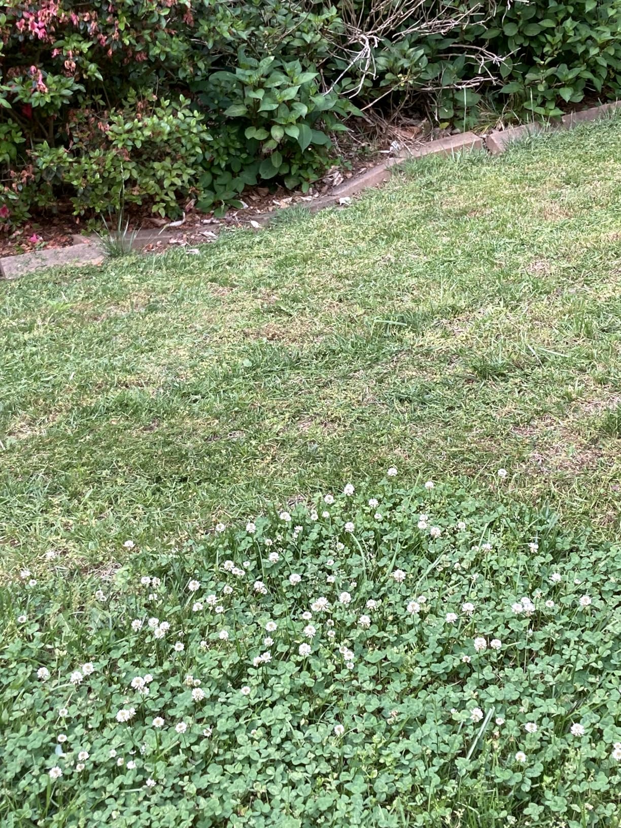 Greenworks 60V 17