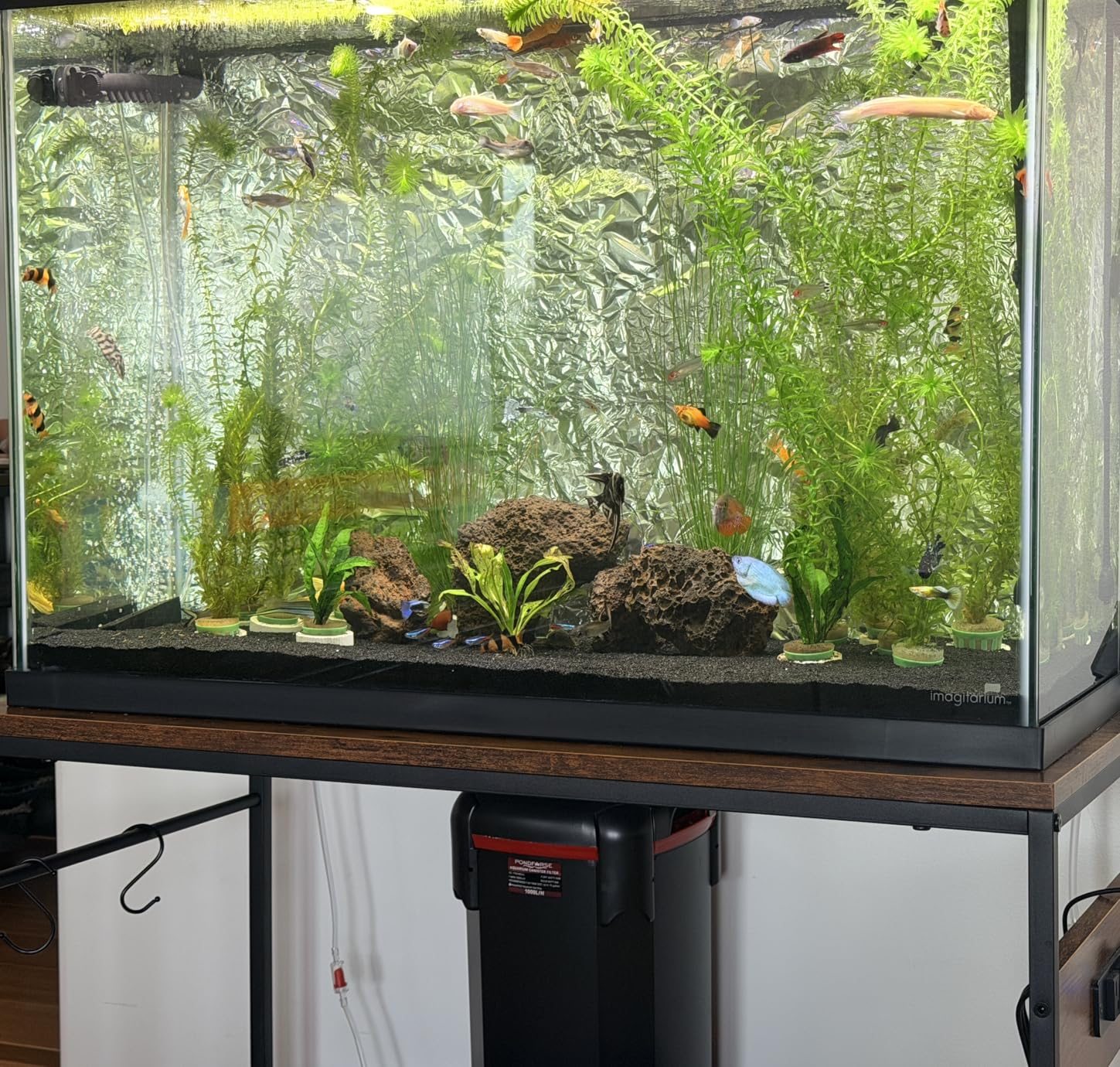 PONDFORSE Canister Filter, External Aquarium Filter Ultra-Quiet with Media, Adjustable Flow Rate, Multiple Filtration Approaches customer photo 1