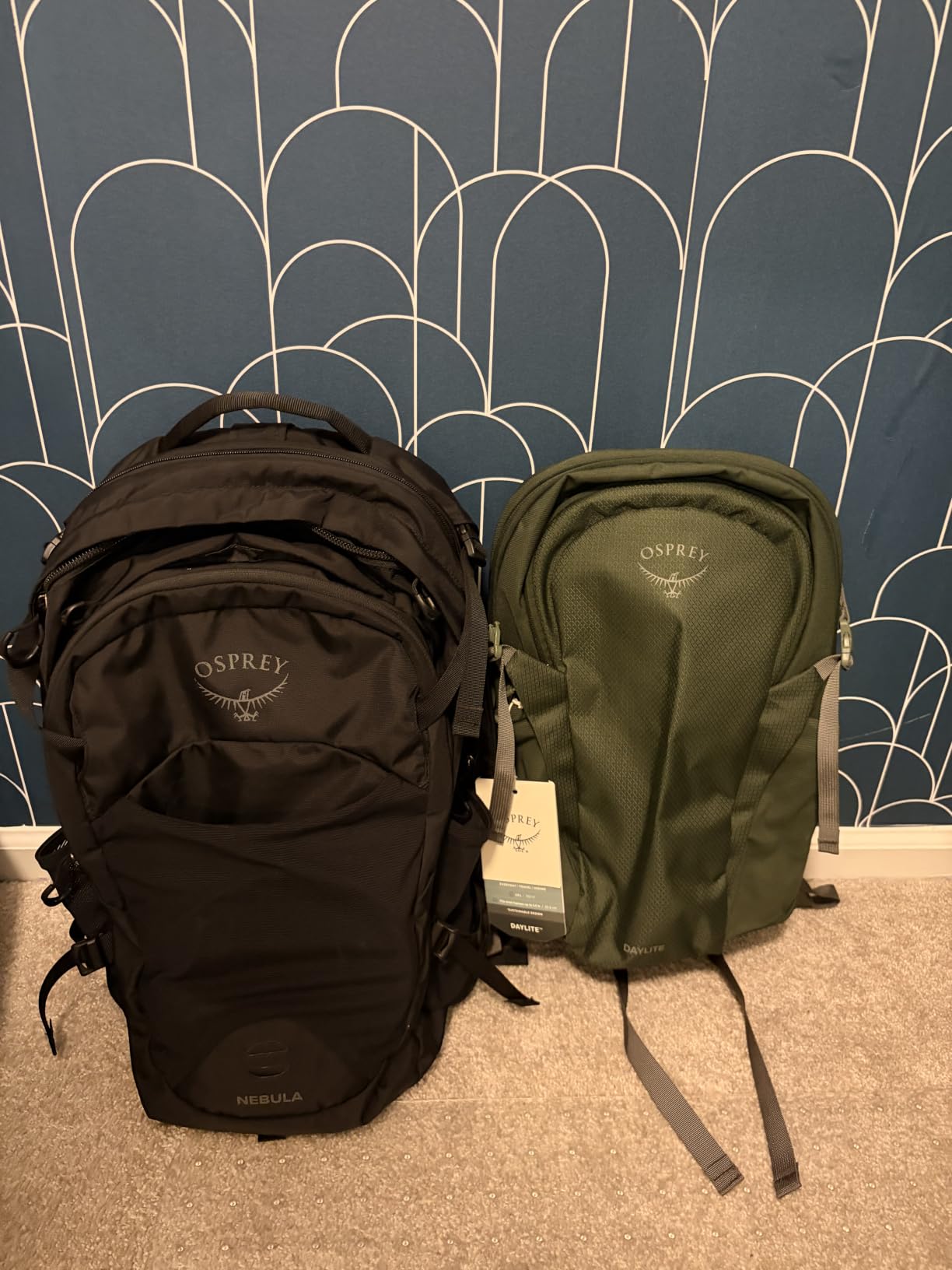 Osprey Daylite Commuter Backpack, Moody Burgundy customer photo 1