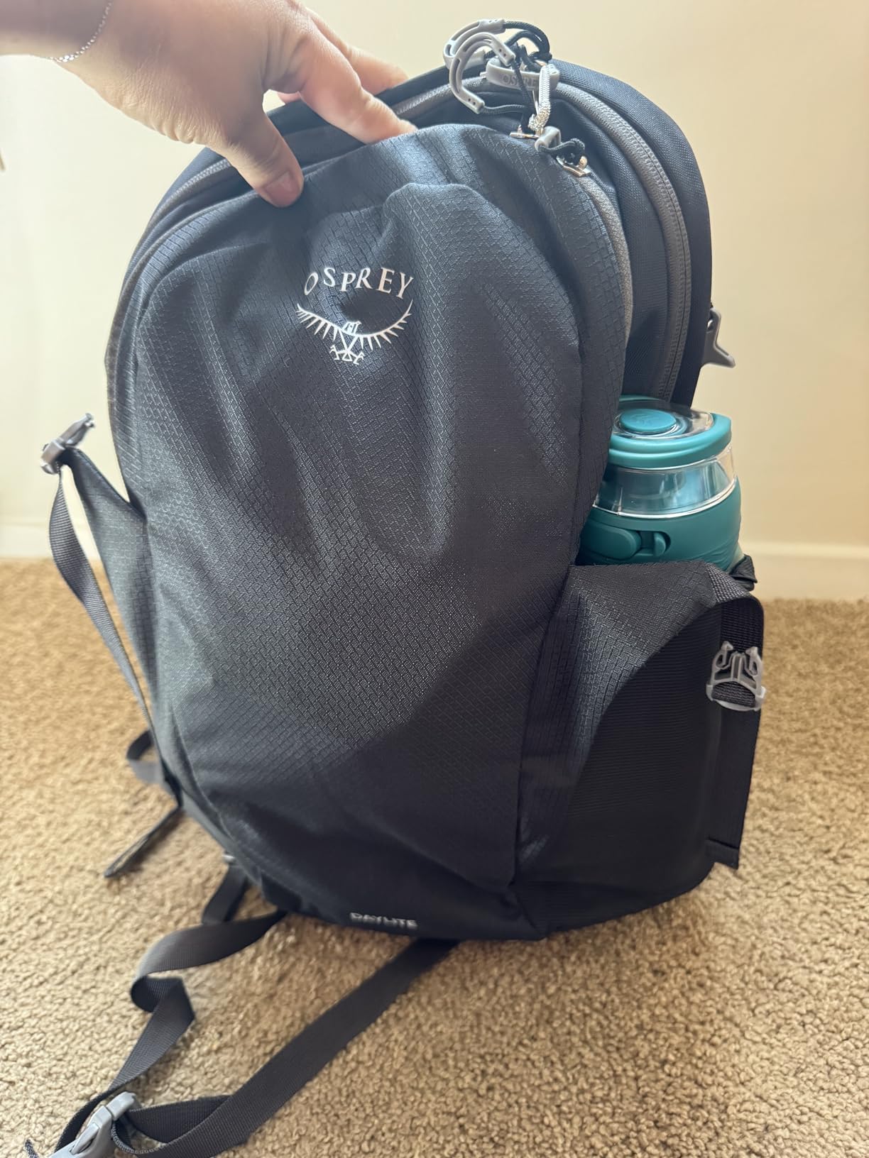 Osprey Daylite Commuter Backpack, Moody Burgundy customer photo 2