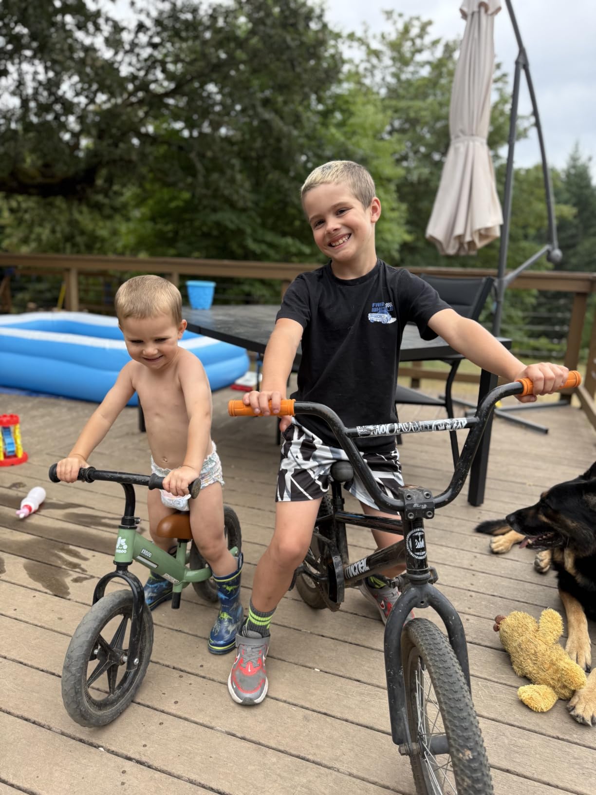 KRIDDO Toddler Balance Bike 2 Year Old: Toddler Bike Toys for 2-5 Years Old | Dual Bearing for Smoother Riding, Adorable Plate, Adjustable Seat and Handlebar, Kids Bike Gift for 2-3 Boys Girls, Green customer photo 1