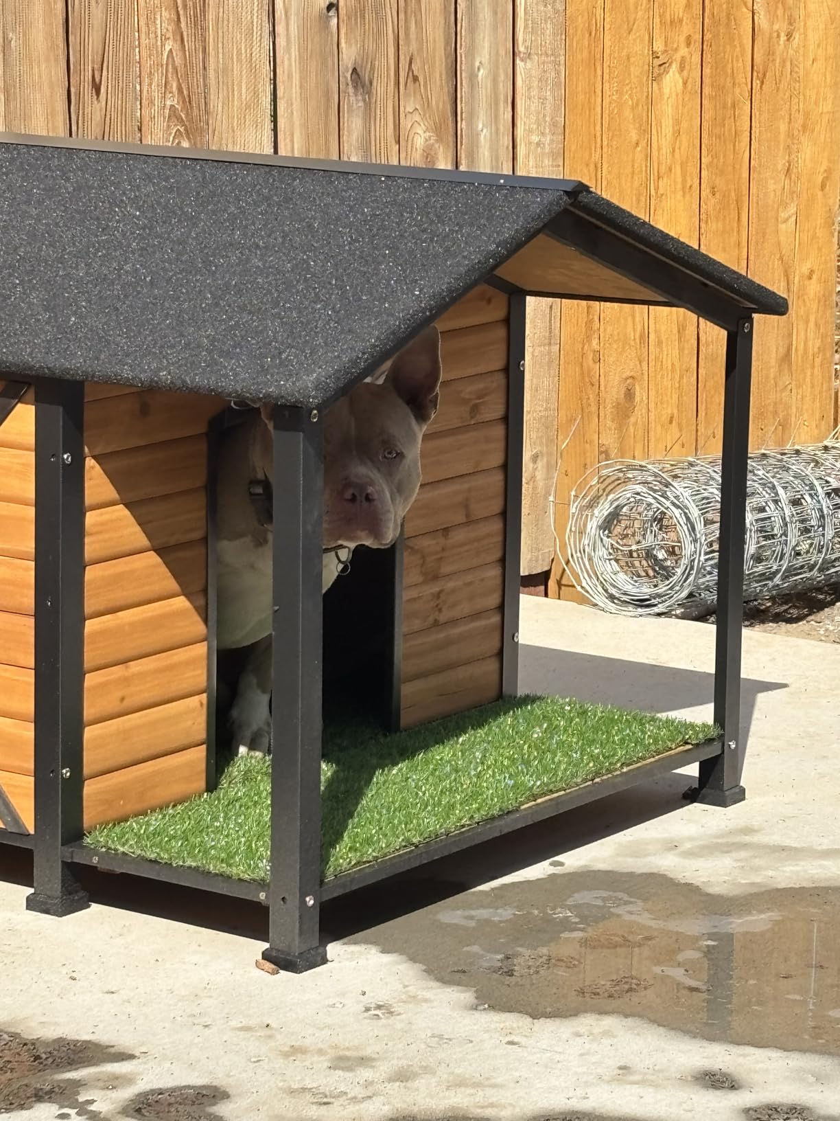 Heated Dog House Outdoor Dog Kennel with Insulation Liner for Winter 34