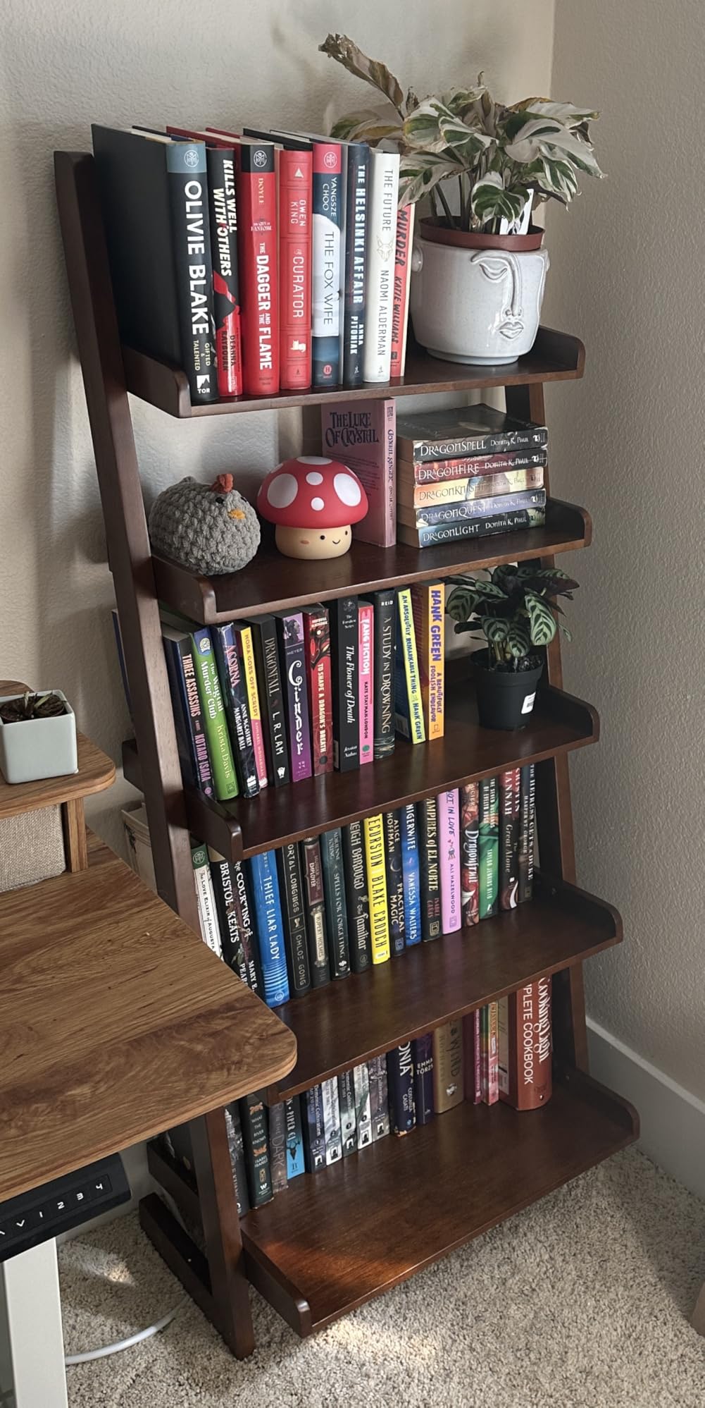 AQIMUELE Walnut Wooden Ladder Shelf with Edges, 5-Tier Modern Leaning Bookshelf Ladder - Stylish Space-Saving Bookcase for Living Room, Bedroom & Home Office customer photo 1