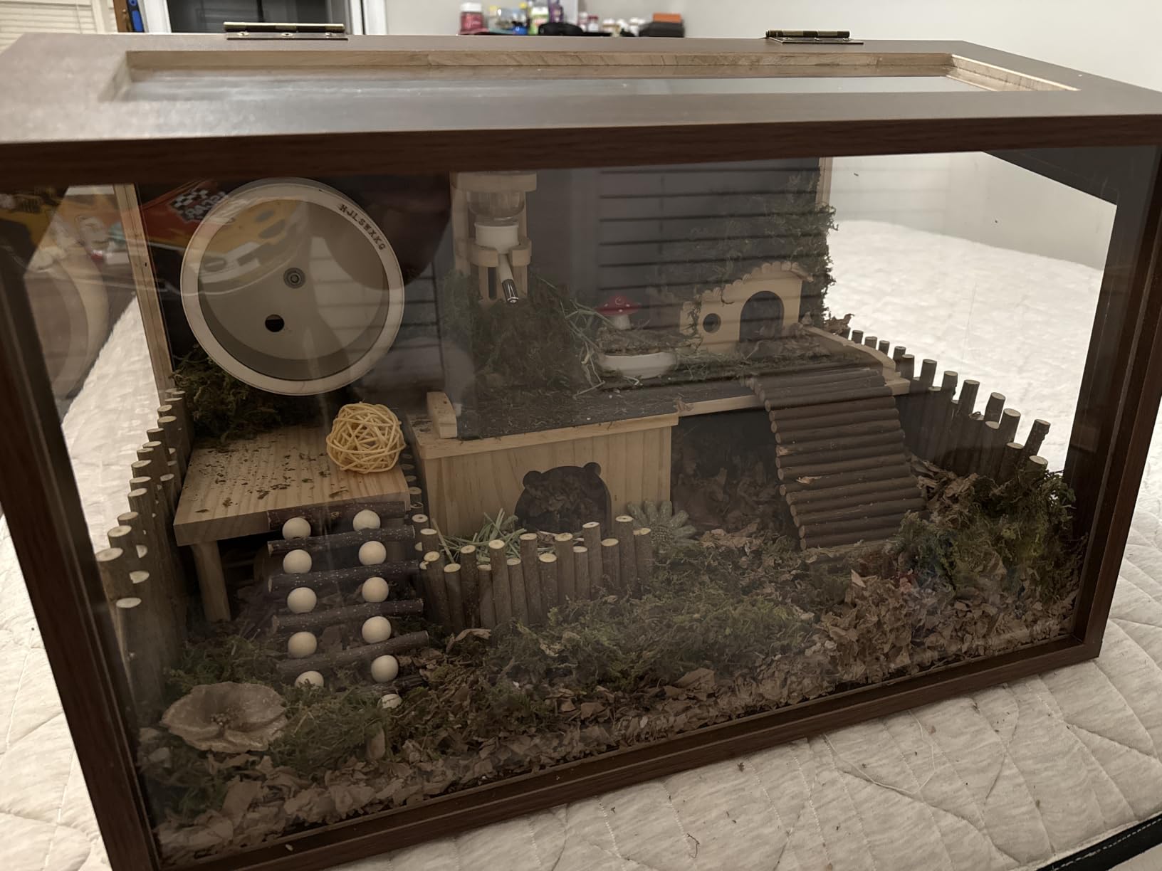 PROLEE Hamster Cage with Chewproof Wood Top, Guinea Pig Cages, Hamster Habitat with Clear Acrylic Sheets Solid Built, Small Animal Cage (Walnut, 32X15.5X15.5 inch) customer photo 1