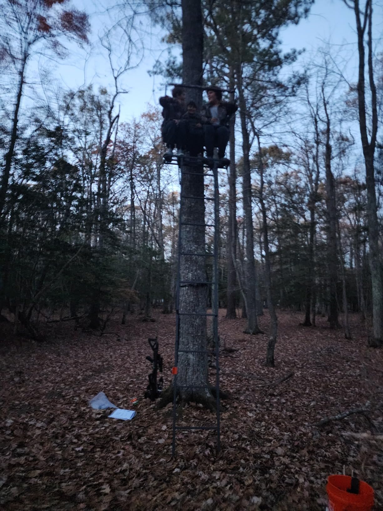 Guide Gear 16.5' 2-Man Ladder Tree Stand for Hunting Elevated Climbing Seat customer photo 1
