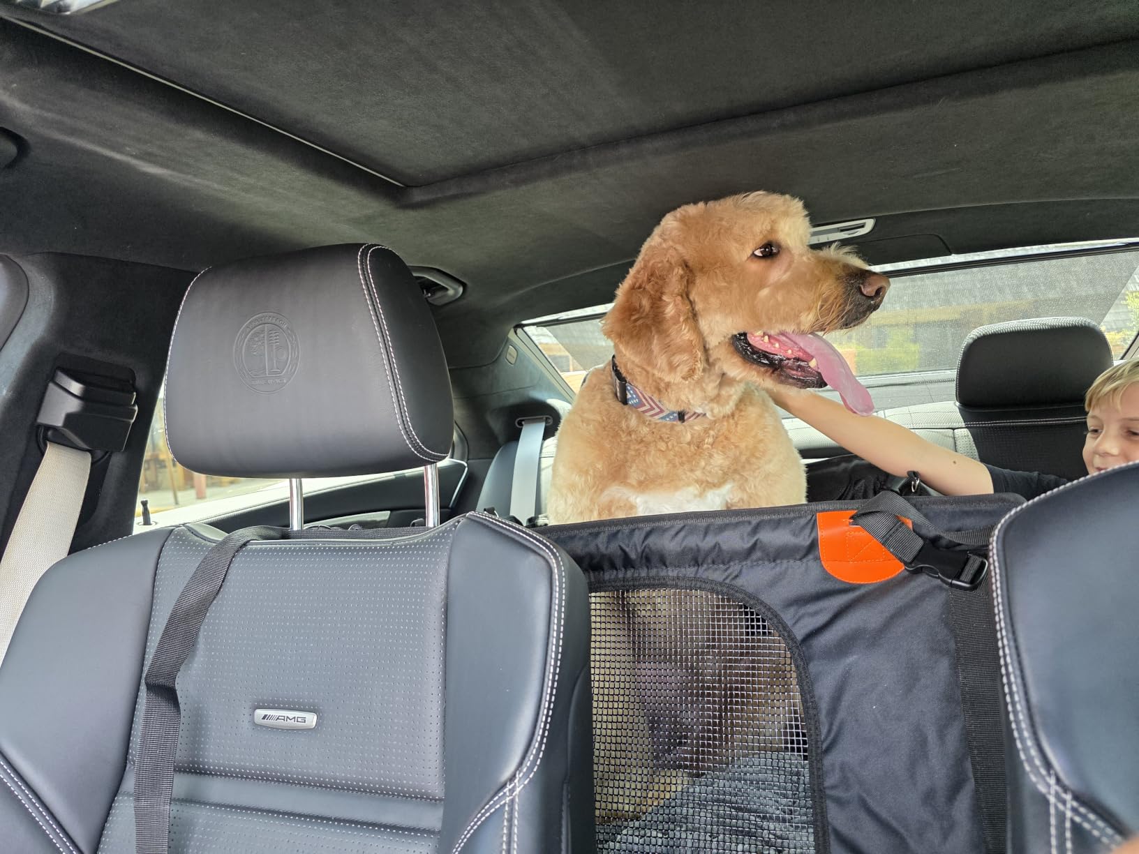 Large Dog Car Seat Cover with Dog Bed Mat for Back Seat Half - Single Seat Travel Hammock Extender, Waterproof Hard Bottom for Medium & Large Dogs, Car SUV Truck Vehicle customer photo 1