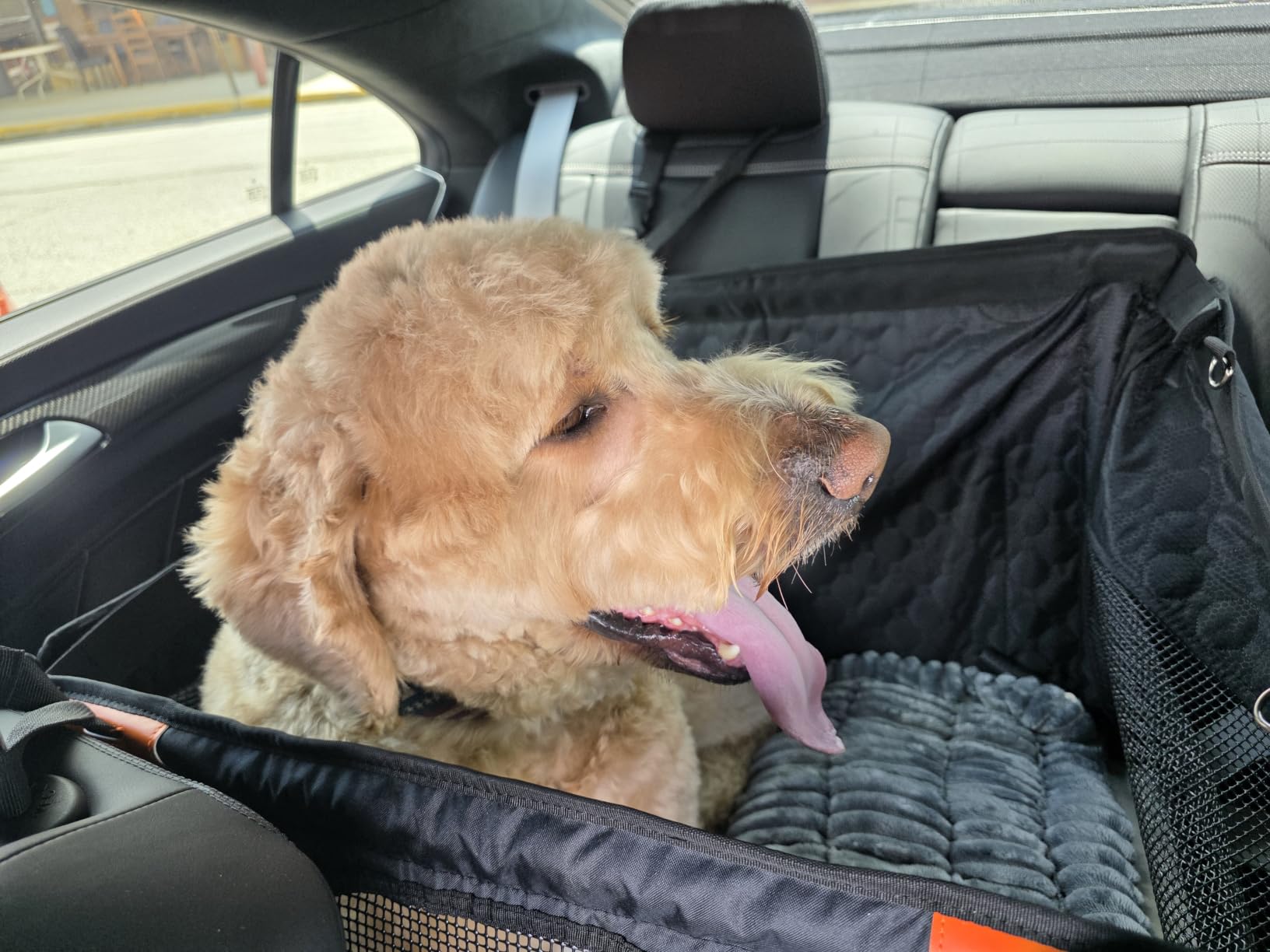Large Dog Car Seat Cover with Dog Bed Mat for Back Seat Half - Single Seat Travel Hammock Extender, Waterproof Hard Bottom for Medium & Large Dogs, Car SUV Truck Vehicle customer photo 2