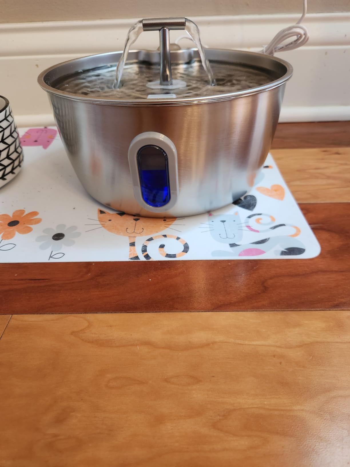 Stainless Steel Cat Water Fountain - 3.2L/108oz Cat Fountain for Drinking | Quiet Pet Water Fountain for Cats Indoor - Automatic Pet Water Bowl Dispenser - for Kitty & Small Dog (4 Filters) customer photo 1