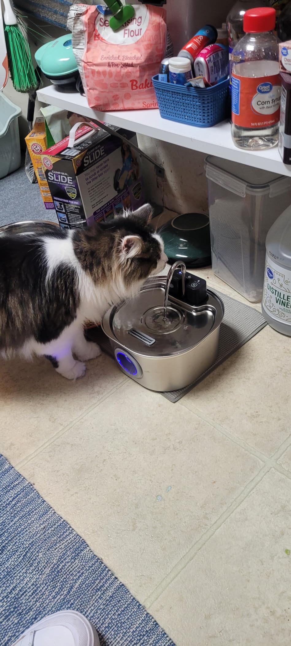Stainless Steel Cat Water Fountain, Wireless, 108oz/3.2L, 1 Filter | Cordless Design, Ultra-Quiet Pump, Easy to Clean, BPA-Free customer photo 1