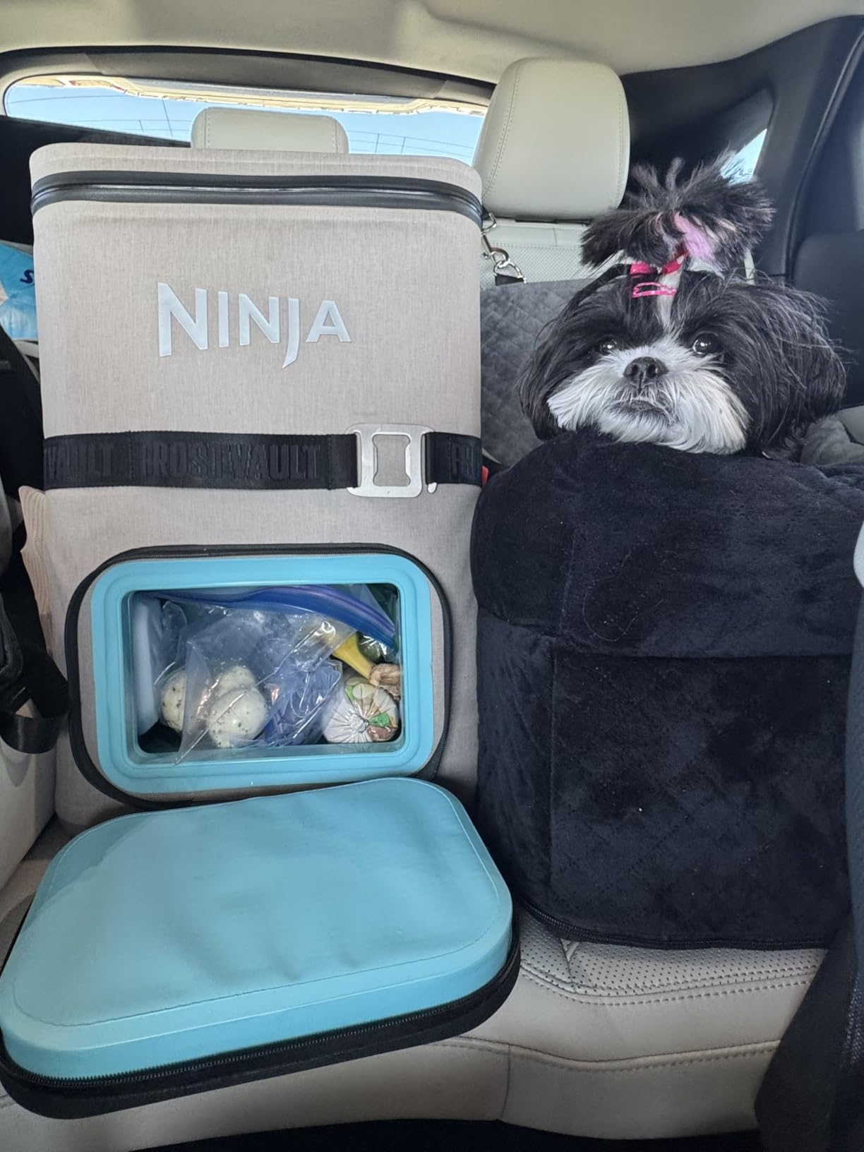Ninja Backpack Cooler | FrostVault Go 24 Can Soft Cooler customer photo 1