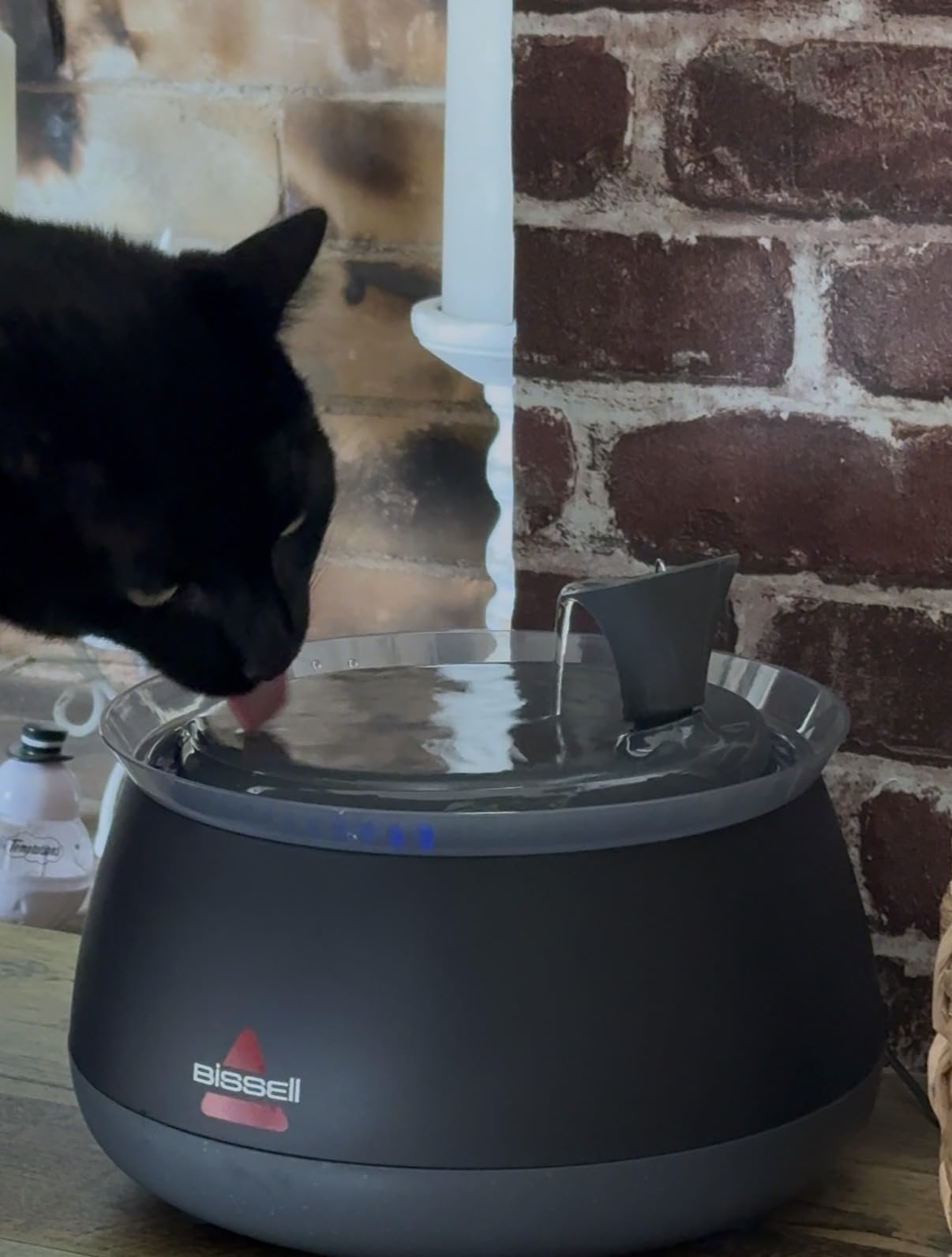 BISSELL HydrateWell Pet Water Fountain, 91oz Automatic Cat Water Fountain with Wireless Pump, SlimeShield and 5-Layer Filtration, Ultra Quiet Cat Water Dispenser, 4408 customer photo 1