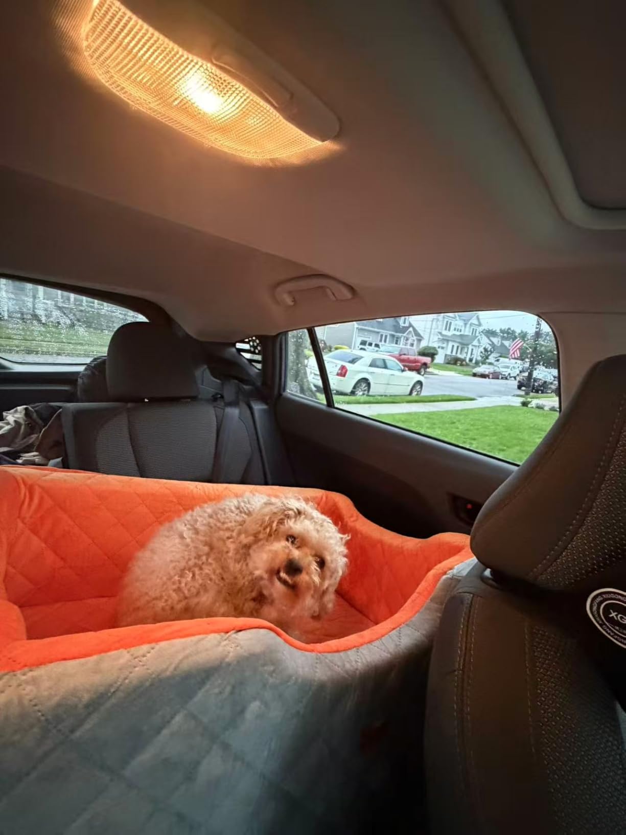 Dog Car Seat for Large Medium Dogs up to 55 lbs, Memory Foam Dog Booster Seat with Storage Pocket, 2 Safety Leashes, Washable Cover, Portable Anxiety Pet Travel Bed, Black customer photo 1