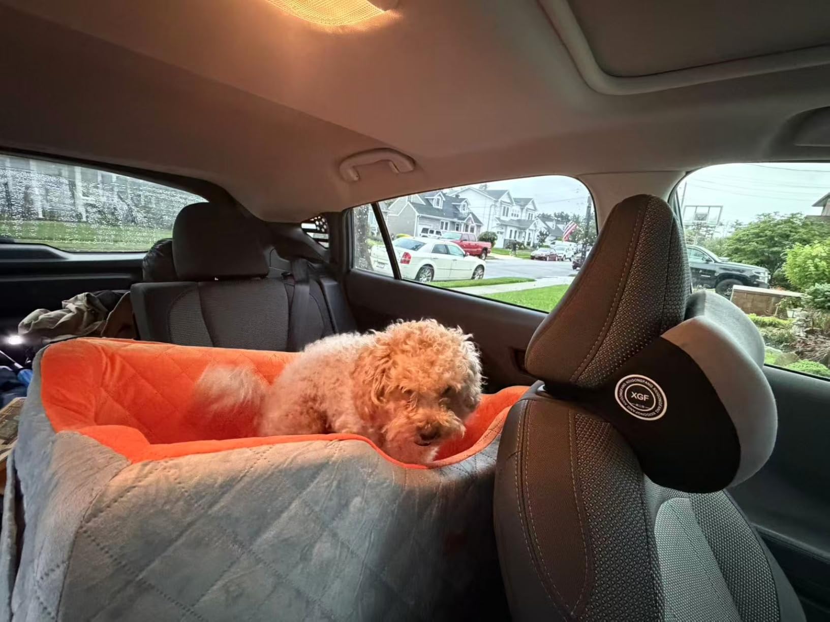 Dog Car Seat for Large Medium Dogs up to 55 lbs, Memory Foam Dog Booster Seat with Storage Pocket, 2 Safety Leashes, Washable Cover, Portable Anxiety Pet Travel Bed, Black customer photo 2