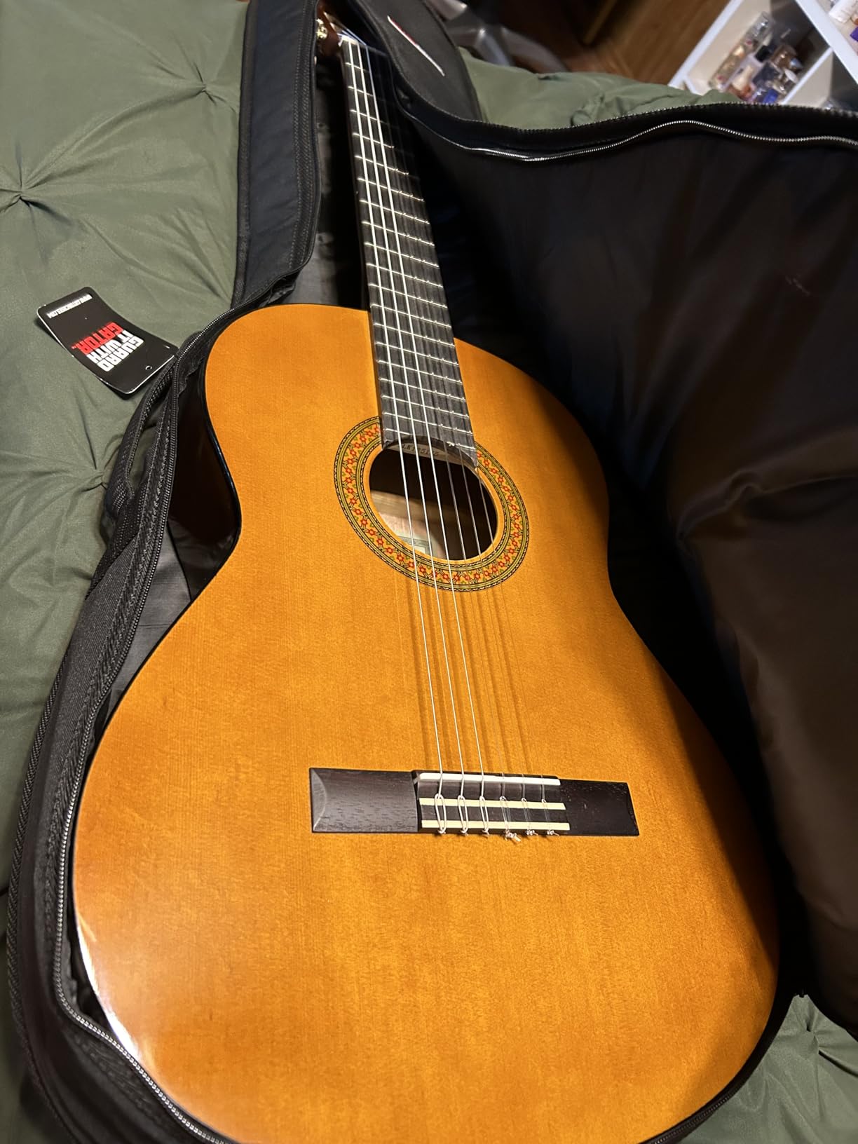 Gator Cases Foam Padded Acoustic Guitar Gig Bag, Fits Dreadnought Style Acoustic Guitars up to 41.9