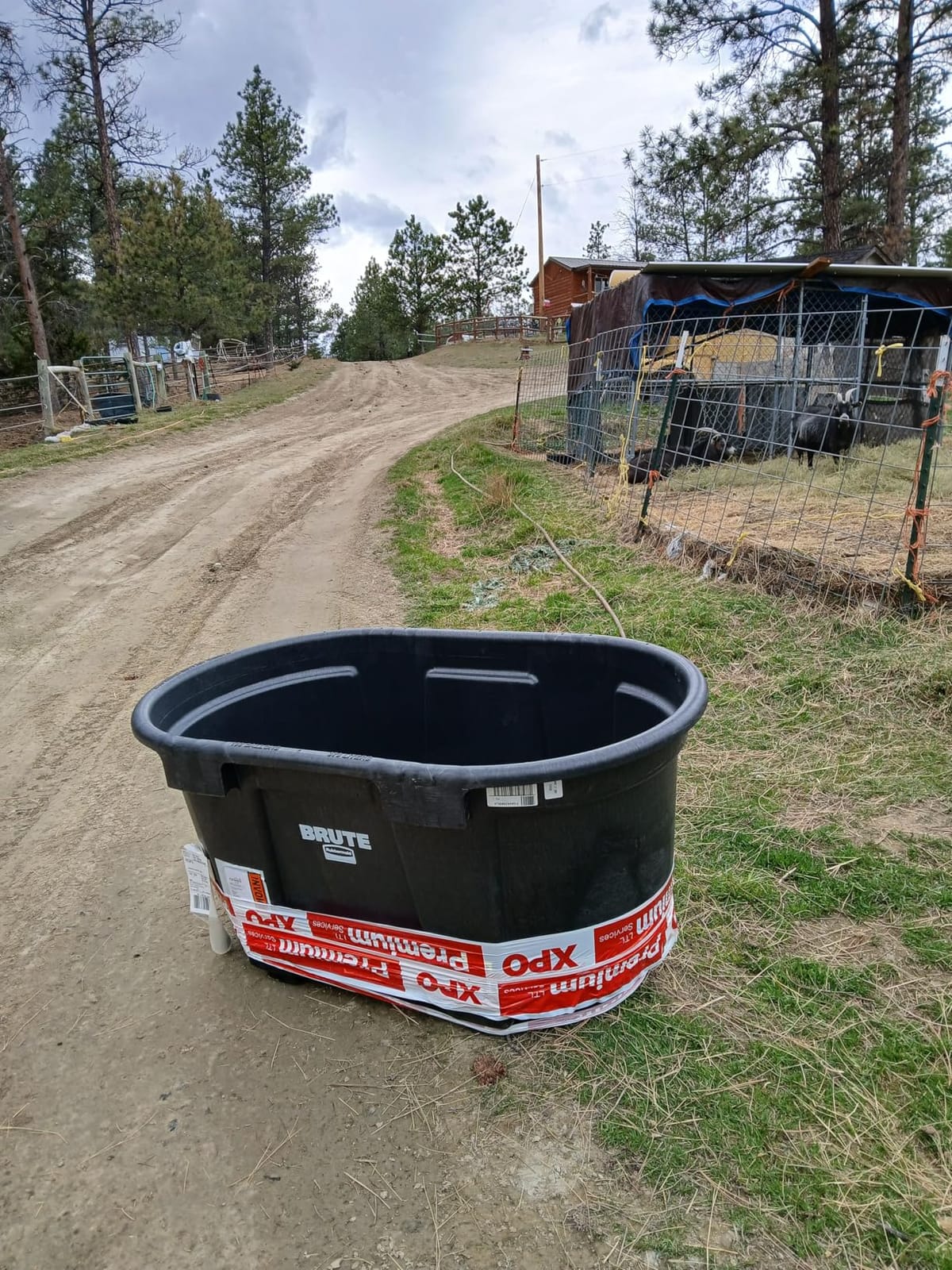 Rubbermaid Commercial Products Stock Tank 300-Gallons Structural Foam Heavy Duty Container for Livestock/Animal/Cattle Feed & Water Outdoor Homemade Pool/Hot Tub/Bathtub & Pet Cleaning/Dog Wash customer photo 1