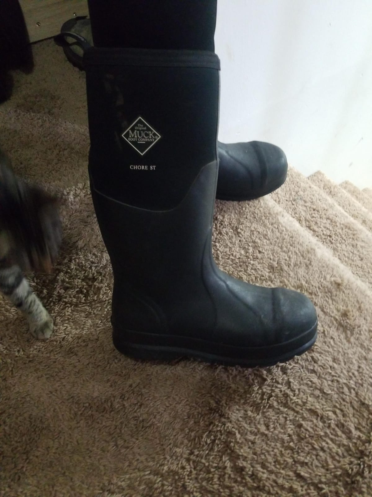 Chore Classic Men's Steel Toe Boot customer photo 1