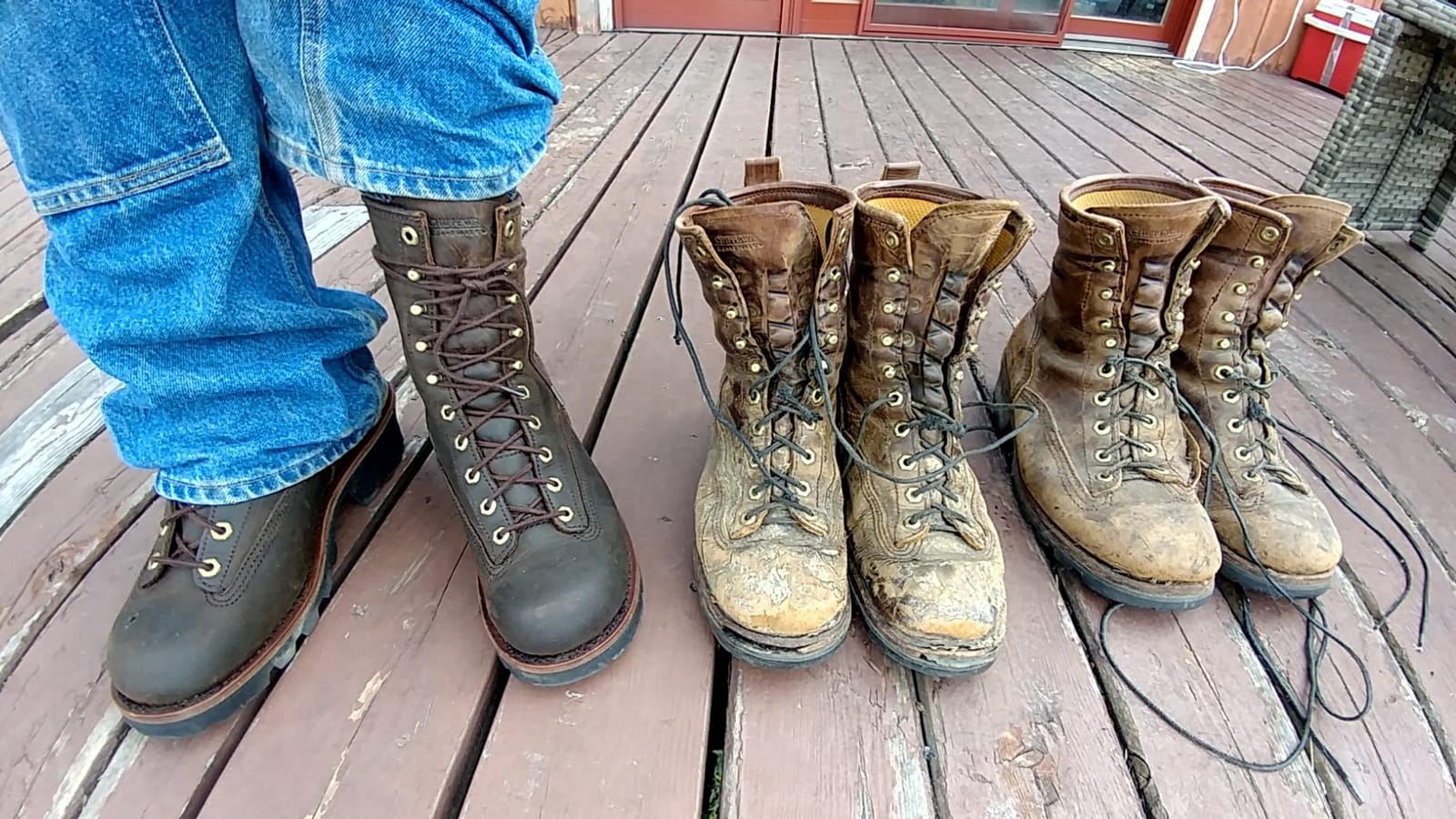 Chippewa Paladin 8