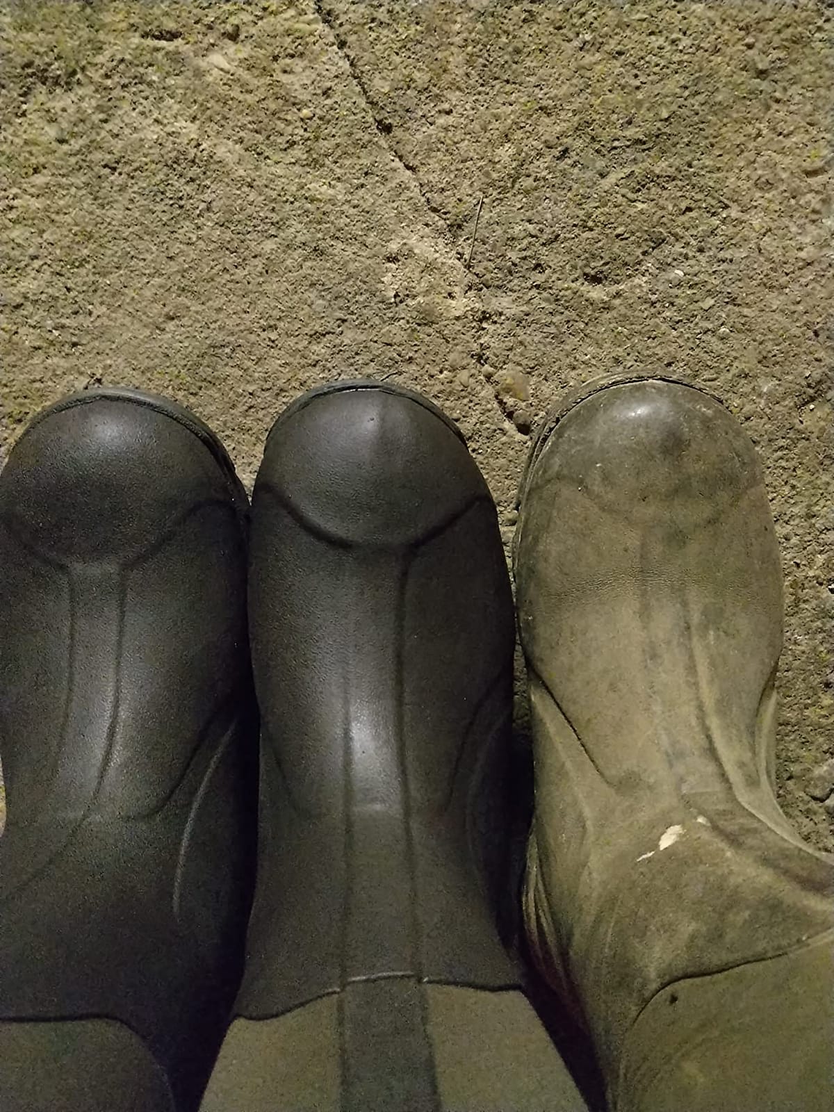 MUCK Men's Arctic Pro Insulated Boot customer photo 1