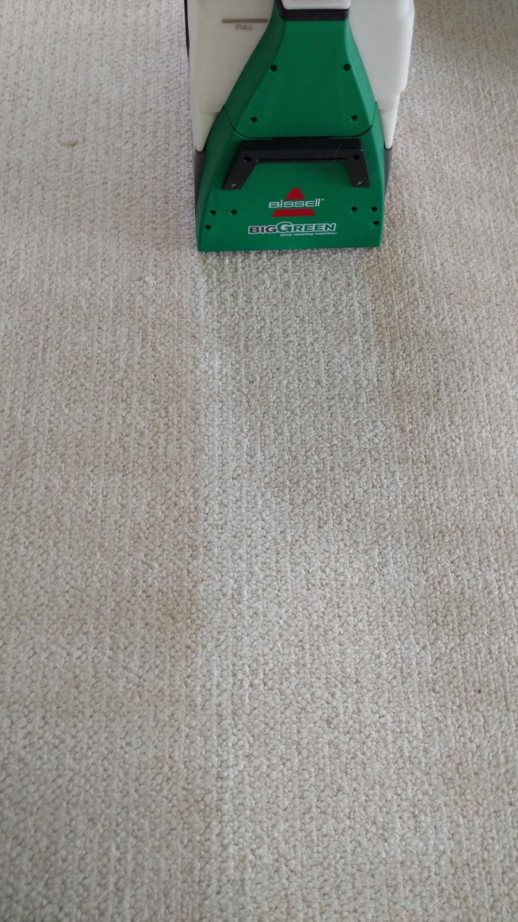 BISSELL Big Green Professional Carpet Cleaner, XL DirtLifter PowerBrush customer photo 1