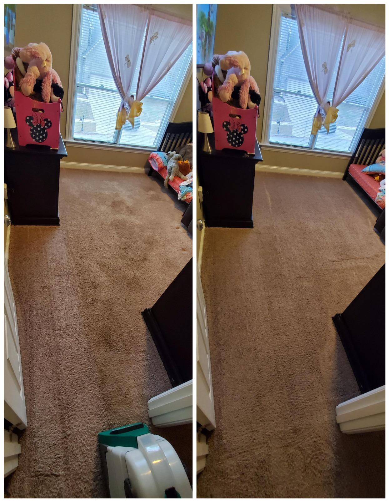 BISSELL Big Green Professional Carpet Cleaner, XL DirtLifter PowerBrush customer photo 2