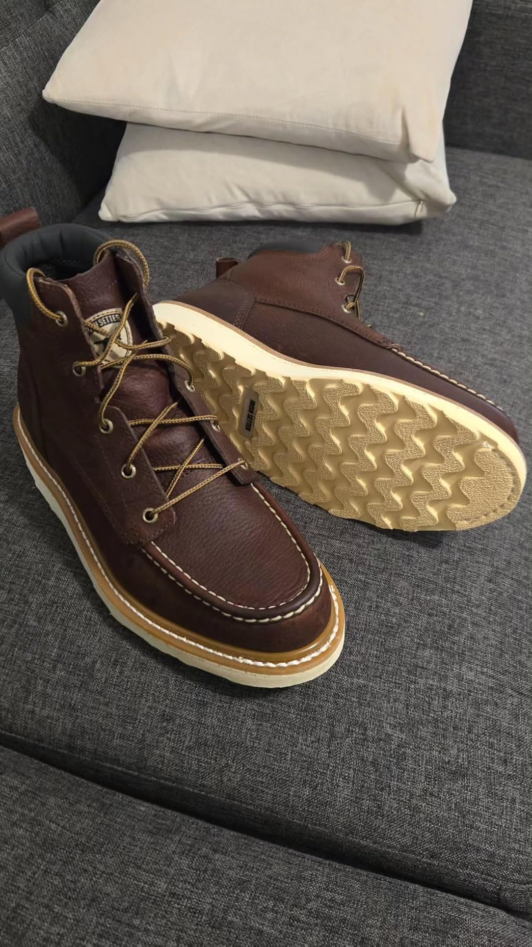 Irish Setter Ashby 6